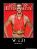 Weed is bad